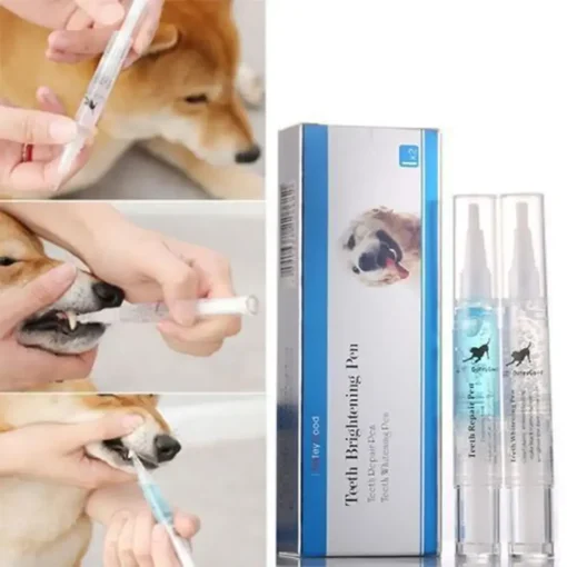 Pet’S Teeth Health By Repairing And Preventing Disease7