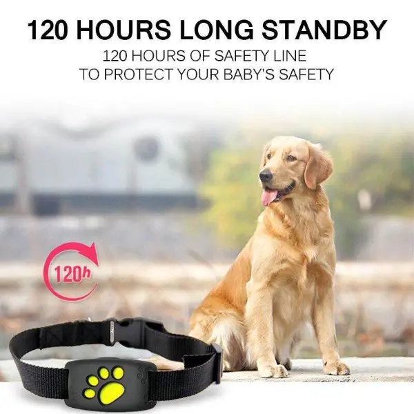 Cat Gps Tracker Locator Device For Pets7