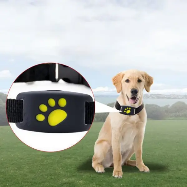 Cat Gps Tracker Locator Device For Pets8