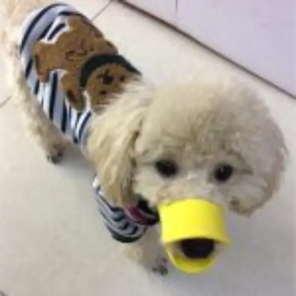 Dog Muzzle - Cutest Adjustable Duck Mouth For Your Dog2