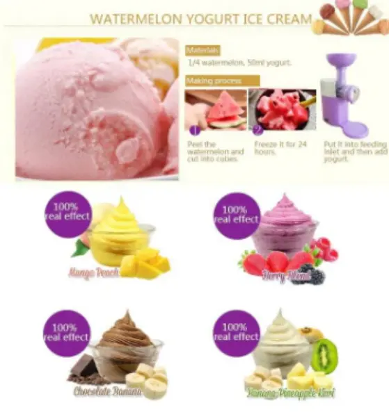 Frozen Fruit Ice Cream Machine4