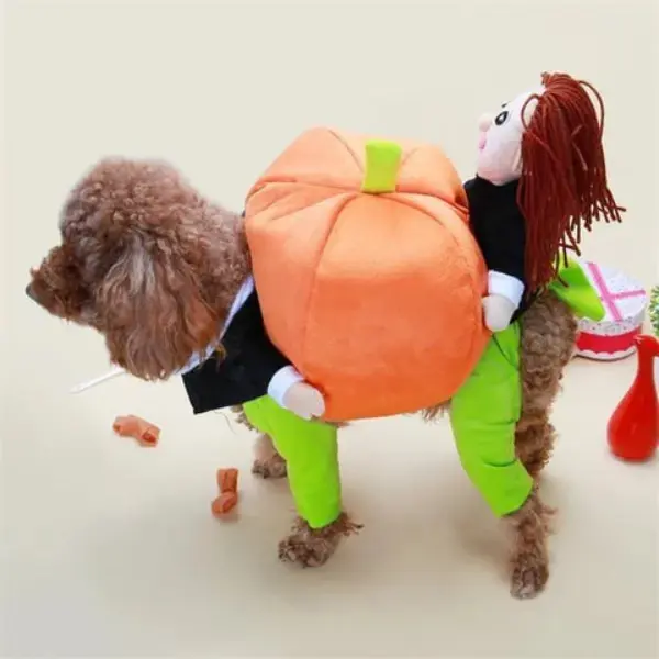 Halloween Special 49 Dog Cat Pumpkin Halloween Costume2.jfif