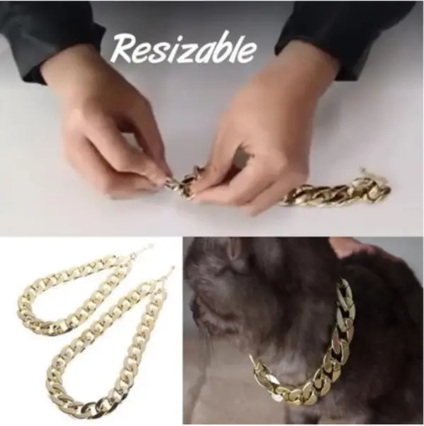 Thugpet Thick Cuban Dog Gold Chain Pet Collar3