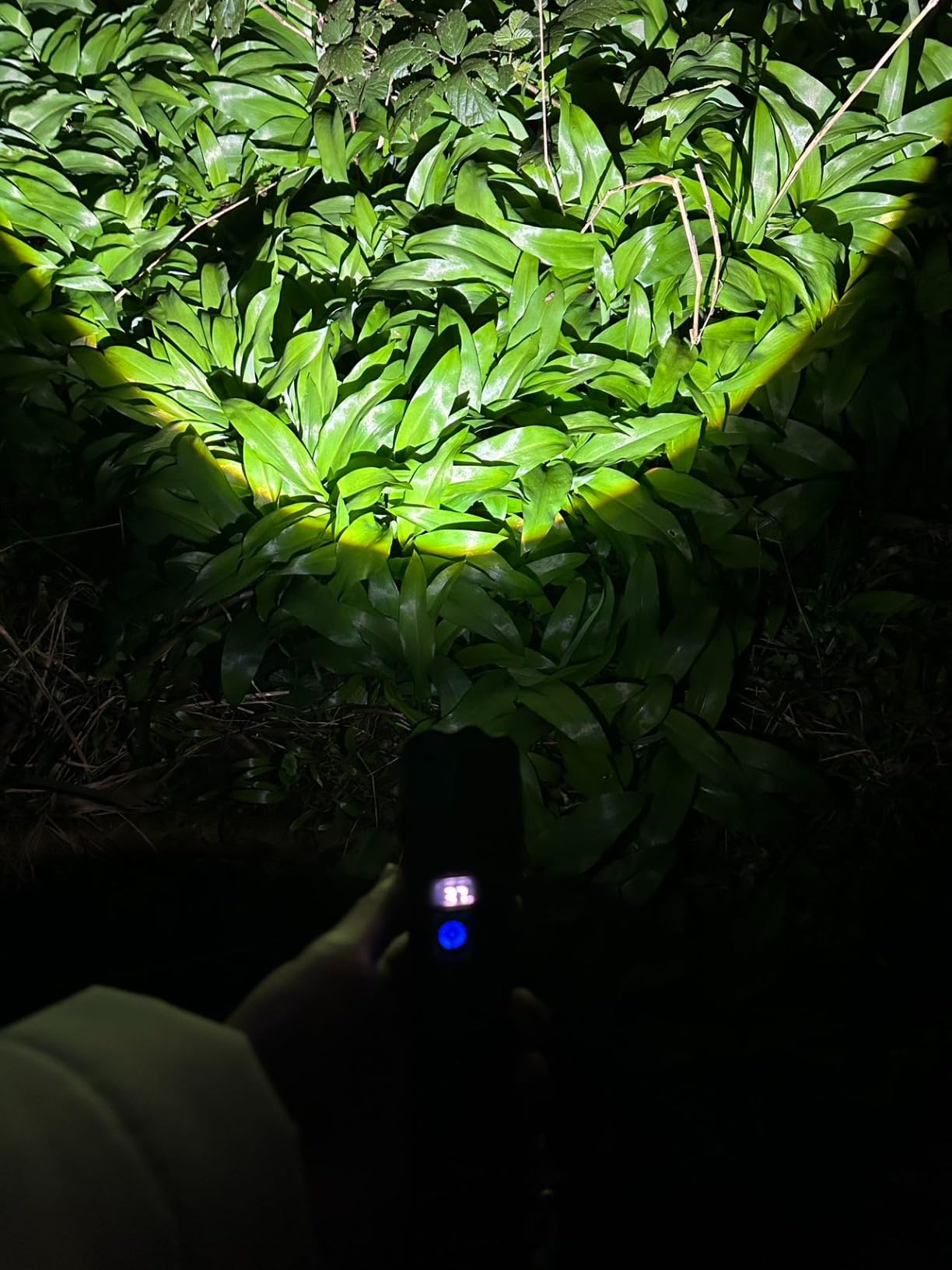 World'S Brightest Flashlight photo review