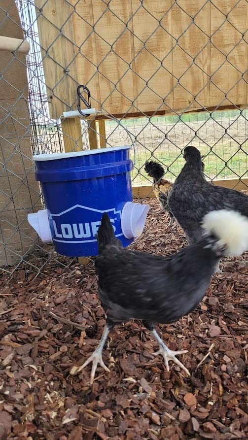 Diy Chicken Feeder, No Waste Chicken Feeder With Rat Stopper Caps With 4 Ports And 1 Hole Saw, Rain Proof And Insect Proof, For Barrels Boxes, Troughs photo review