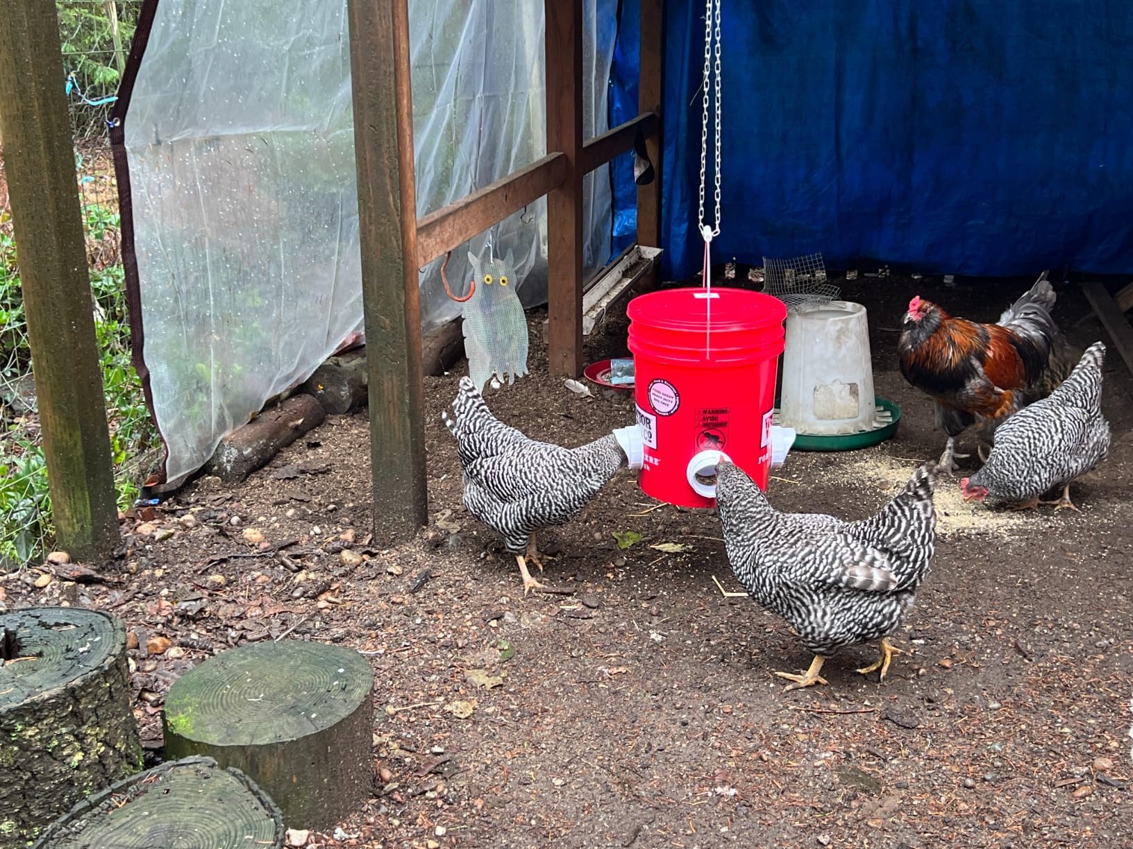 Diy Chicken Feeder, No Waste Chicken Feeder With Rat Stopper Caps With 4 Ports And 1 Hole Saw, Rain Proof And Insect Proof, For Barrels Boxes, Troughs photo review