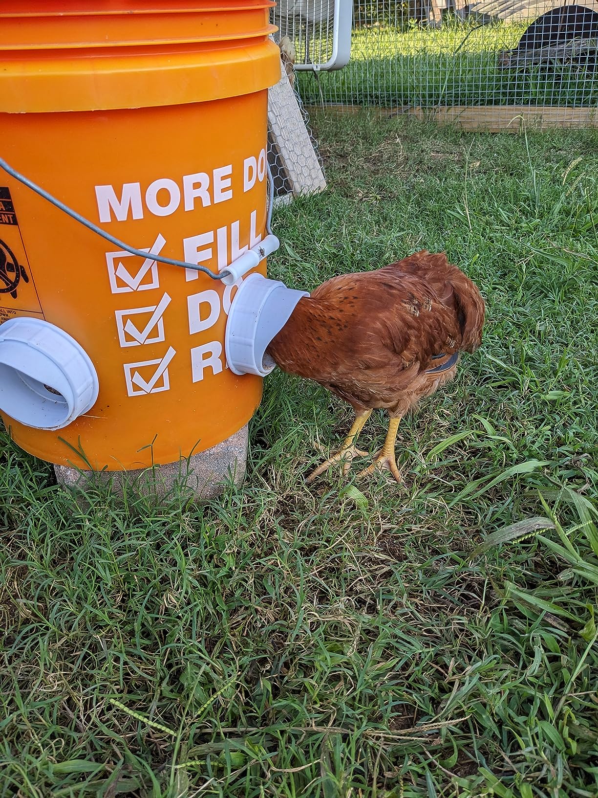 Diy Chicken Feeder, No Waste Chicken Feeder With Rat Stopper Caps With 4 Ports And 1 Hole Saw, Rain Proof And Insect Proof, For Barrels Boxes, Troughs photo review