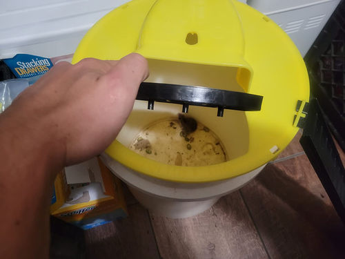 Automatic Mouse Trap Bucket for House photo review