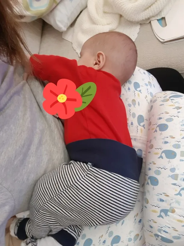 Baby Breastfeeding Nursing Pillow photo review