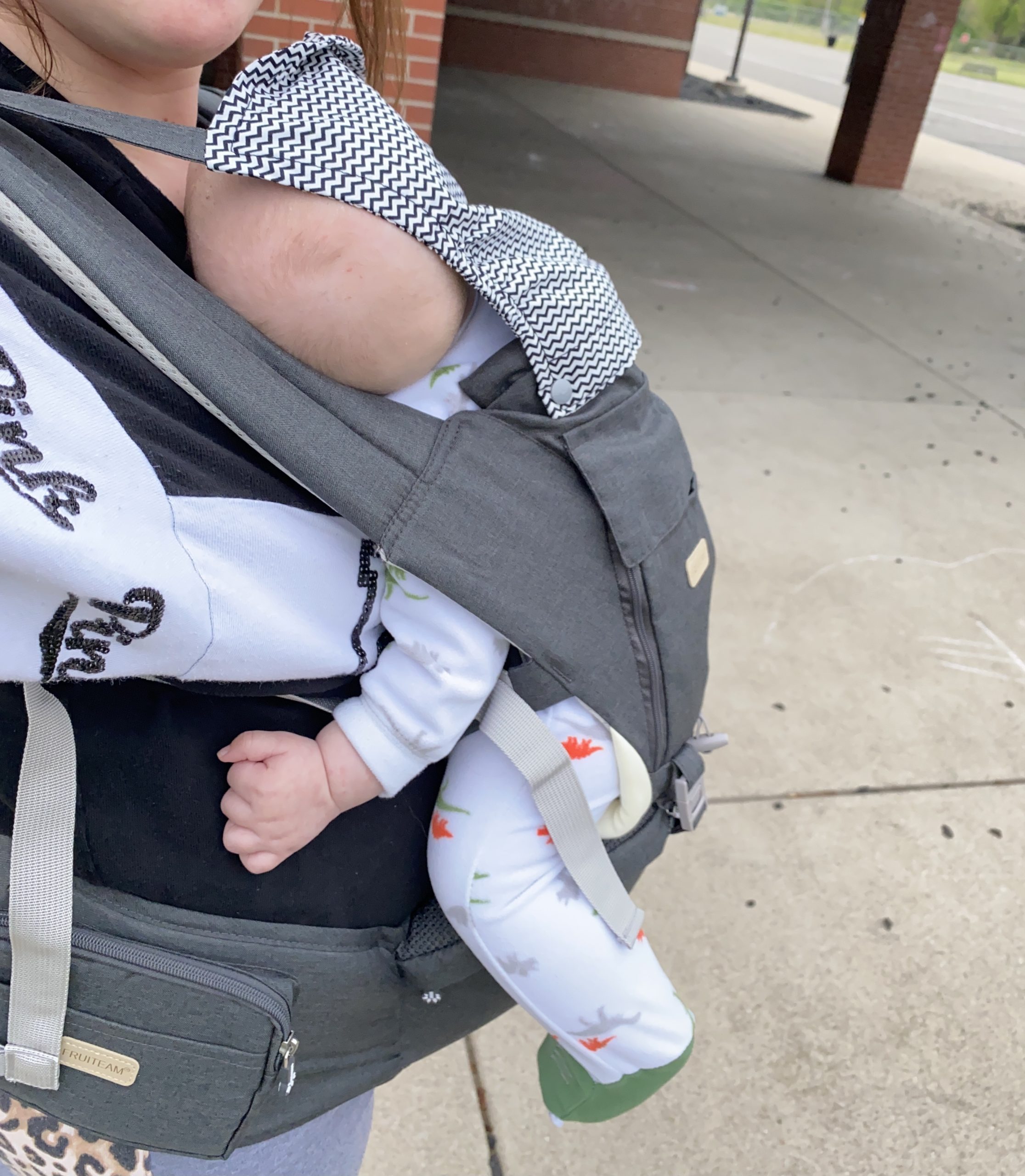 Ergonomic Baby Carrier photo review