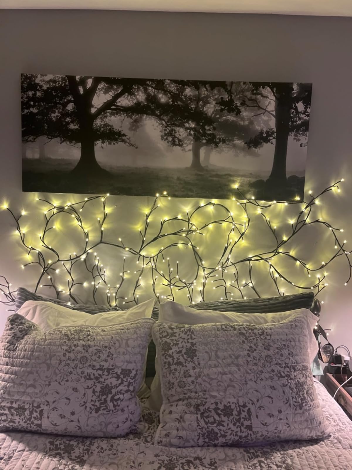 Enchanted Willow Led Vine Light photo review