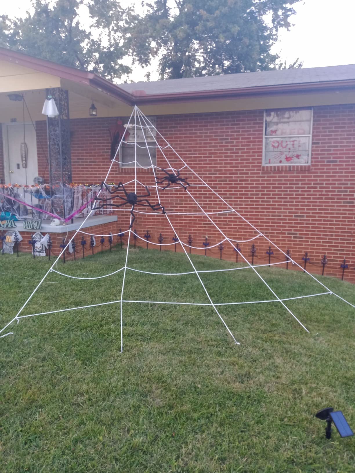 Halloween Giant Spider Huge Stretchy Cobwebs Terror Plush photo review