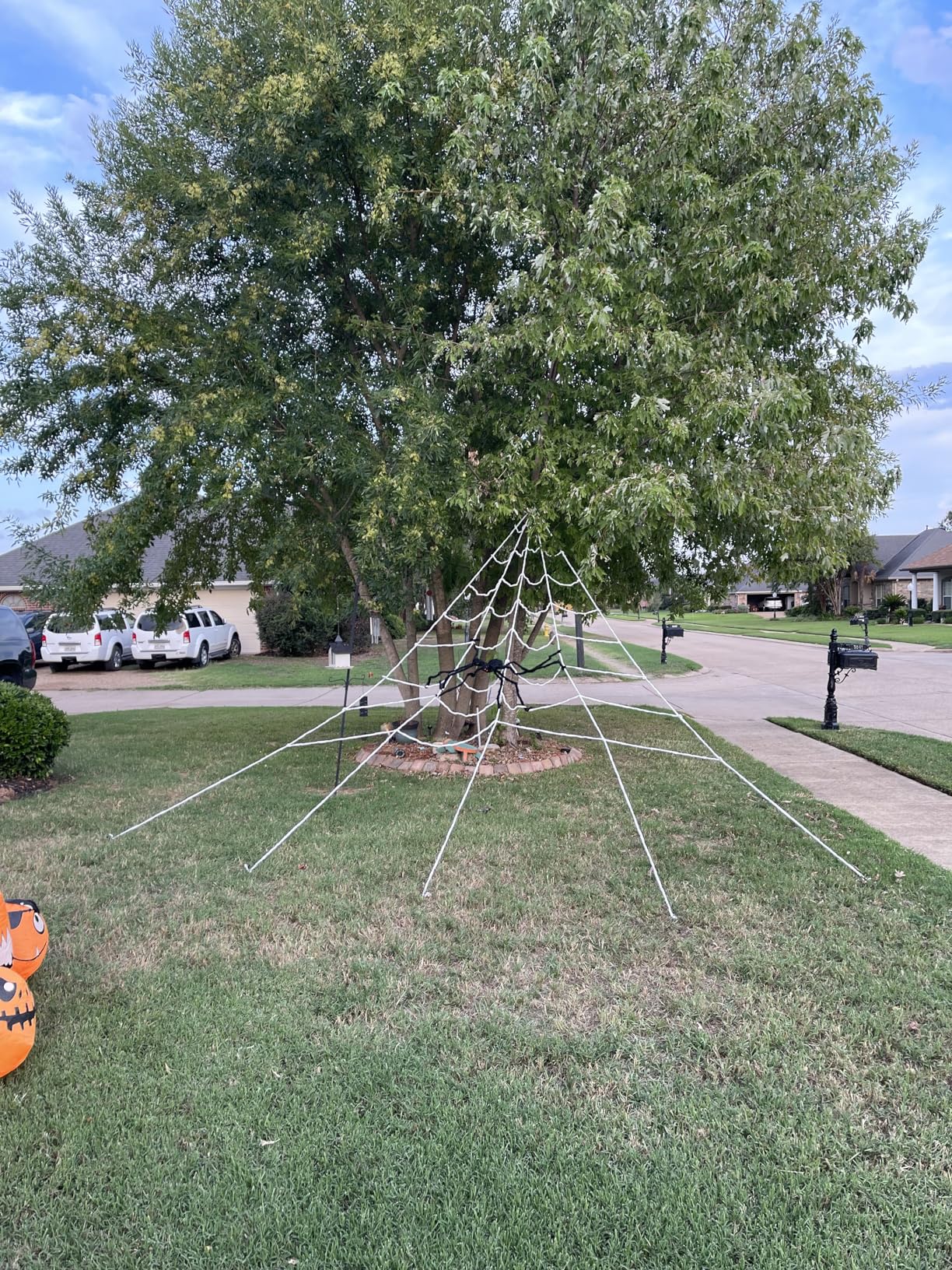 Halloween Giant Spider Huge Stretchy Cobwebs Terror Plush photo review