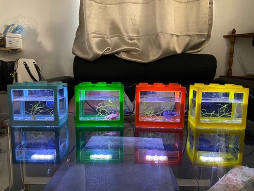 Mini Block Aquarium photo review