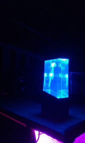 Jellyfish Aquarium Lamp photo review