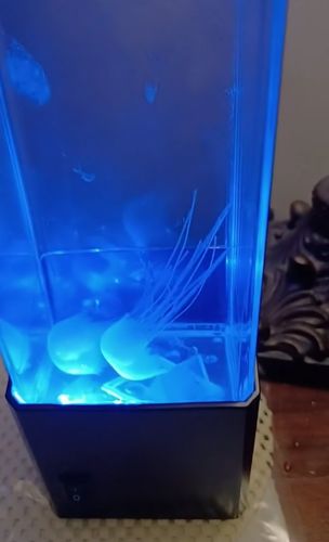 Jellyfish Aquarium Lamp photo review