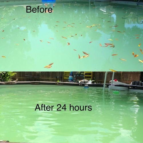 Magic Pool Cleaning Tablet photo review