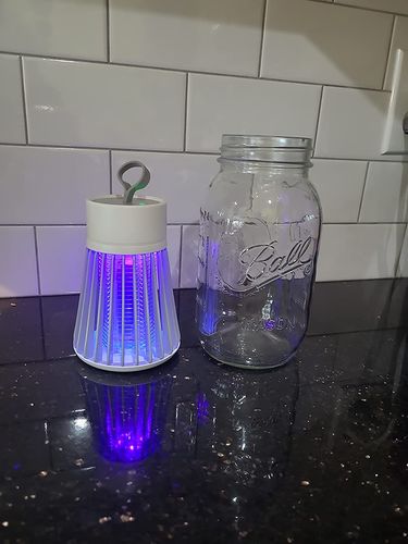 Mosquito Killer Lamp -  Electric Bug Zapper for Indoor & Outdoor (USB Rechargeable) photo review