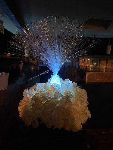 Optic Fiber Lamp photo review