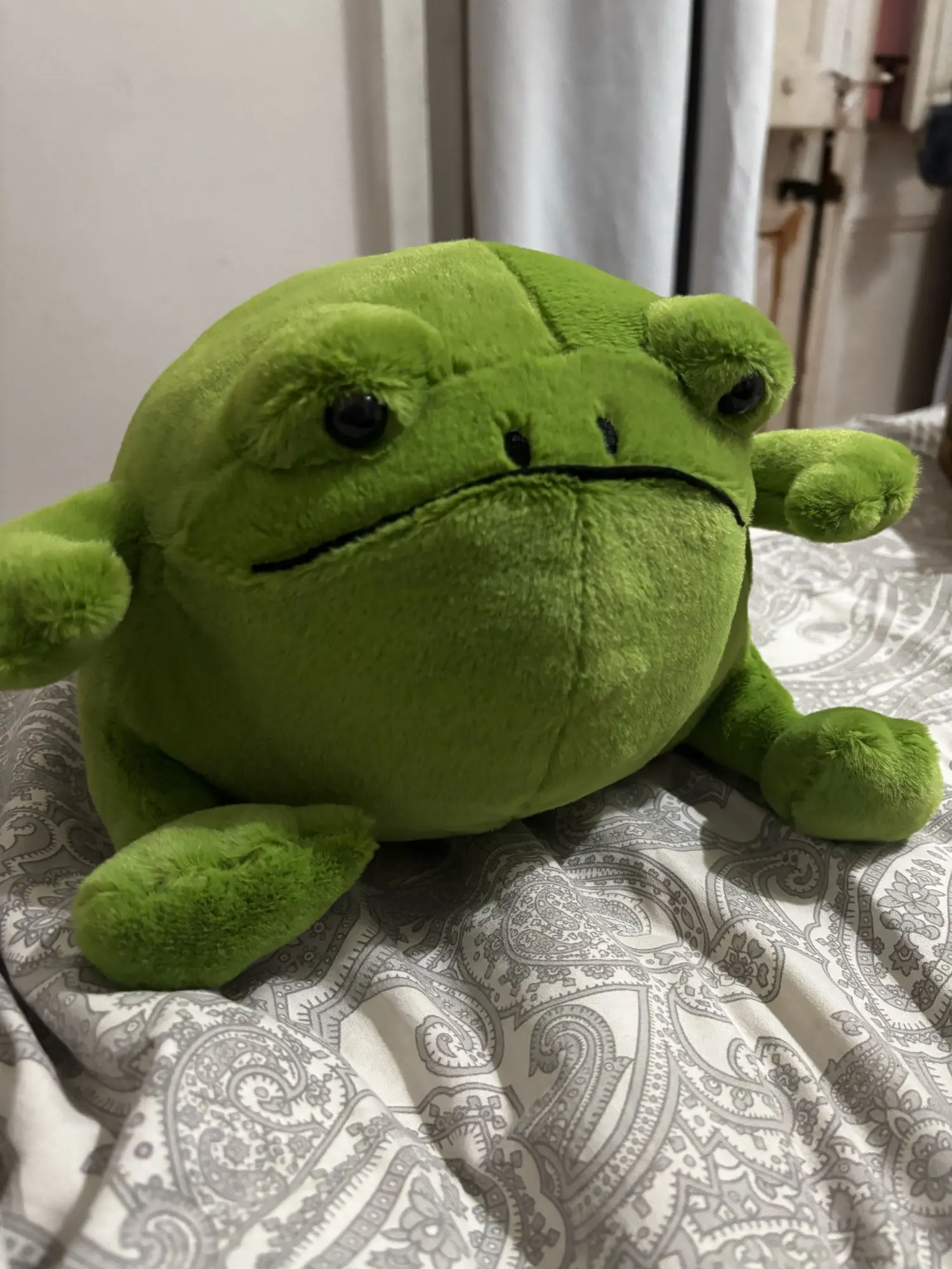 20 Cm Weighted Frog Stuffed Animal photo review