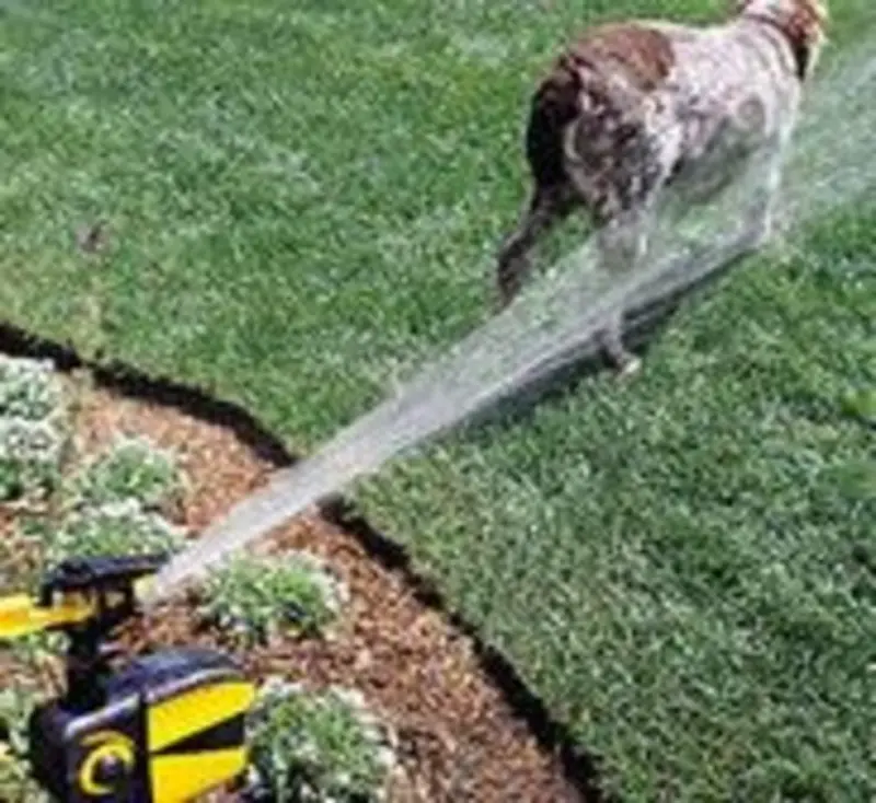 Solar Powered Motion Activated Animal Repellent Garden Sprinkler photo review