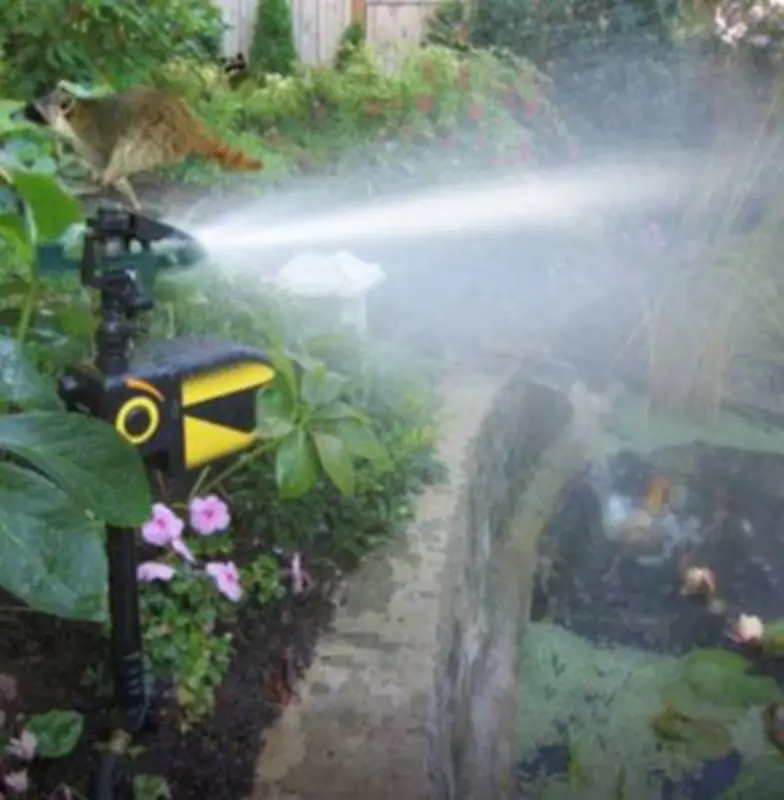 Solar Powered Motion Activated Animal Repellent Garden Sprinkler photo review