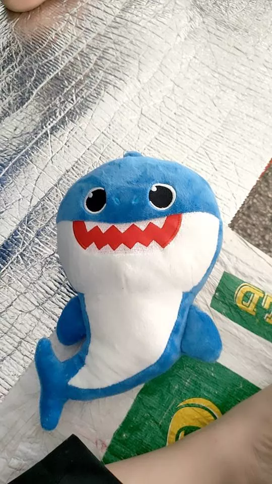 32 Cm Baby Shark With Cartoon Music Plush Toy photo review